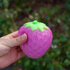Mango Stress Relief Squishy