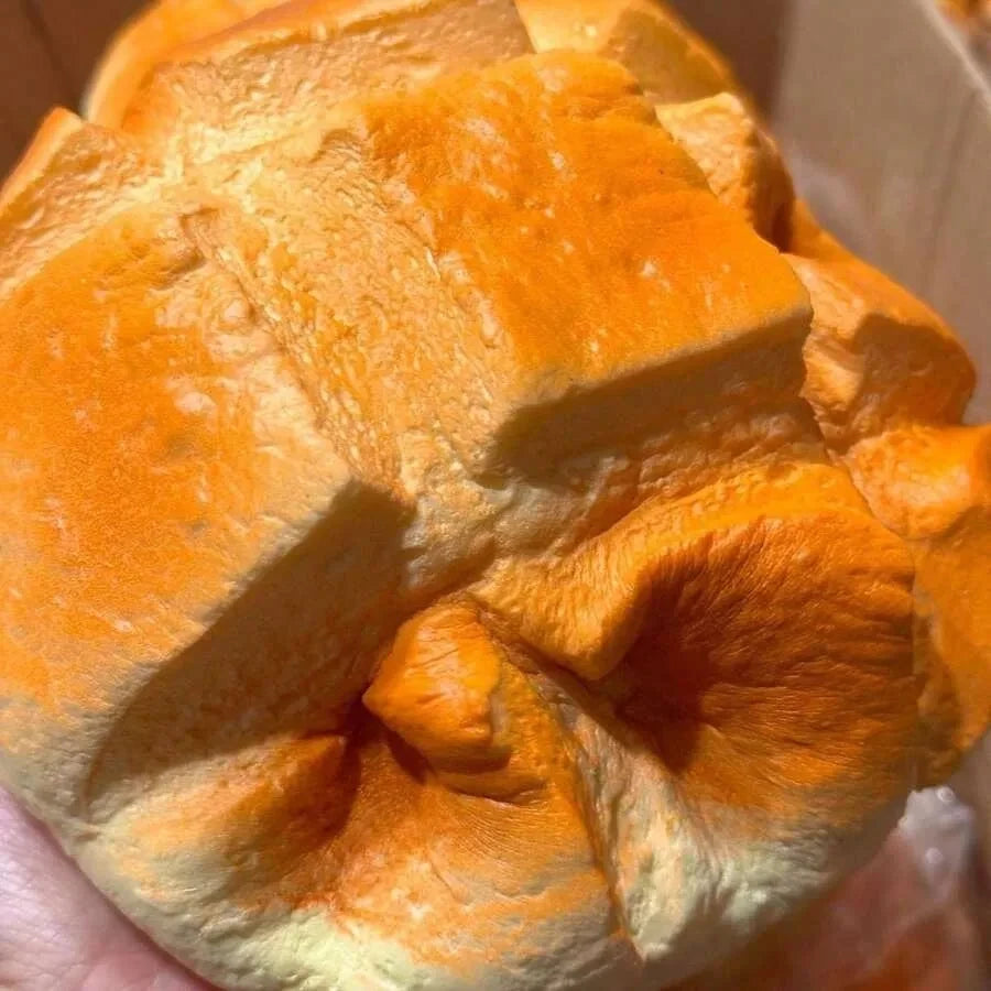 Extra Large Pineapple Bun Squishy Toy